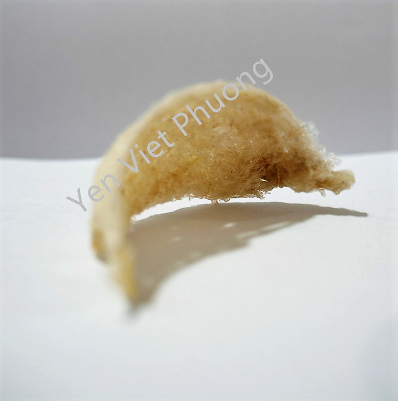 yanwoxingzhan