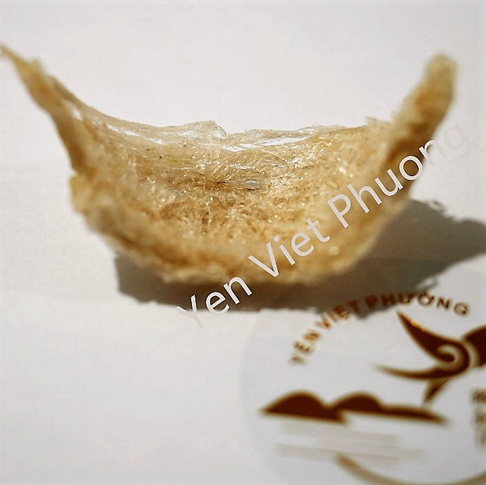 yanwoxingzhan