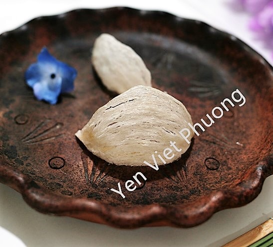 yanwoyuanzhan